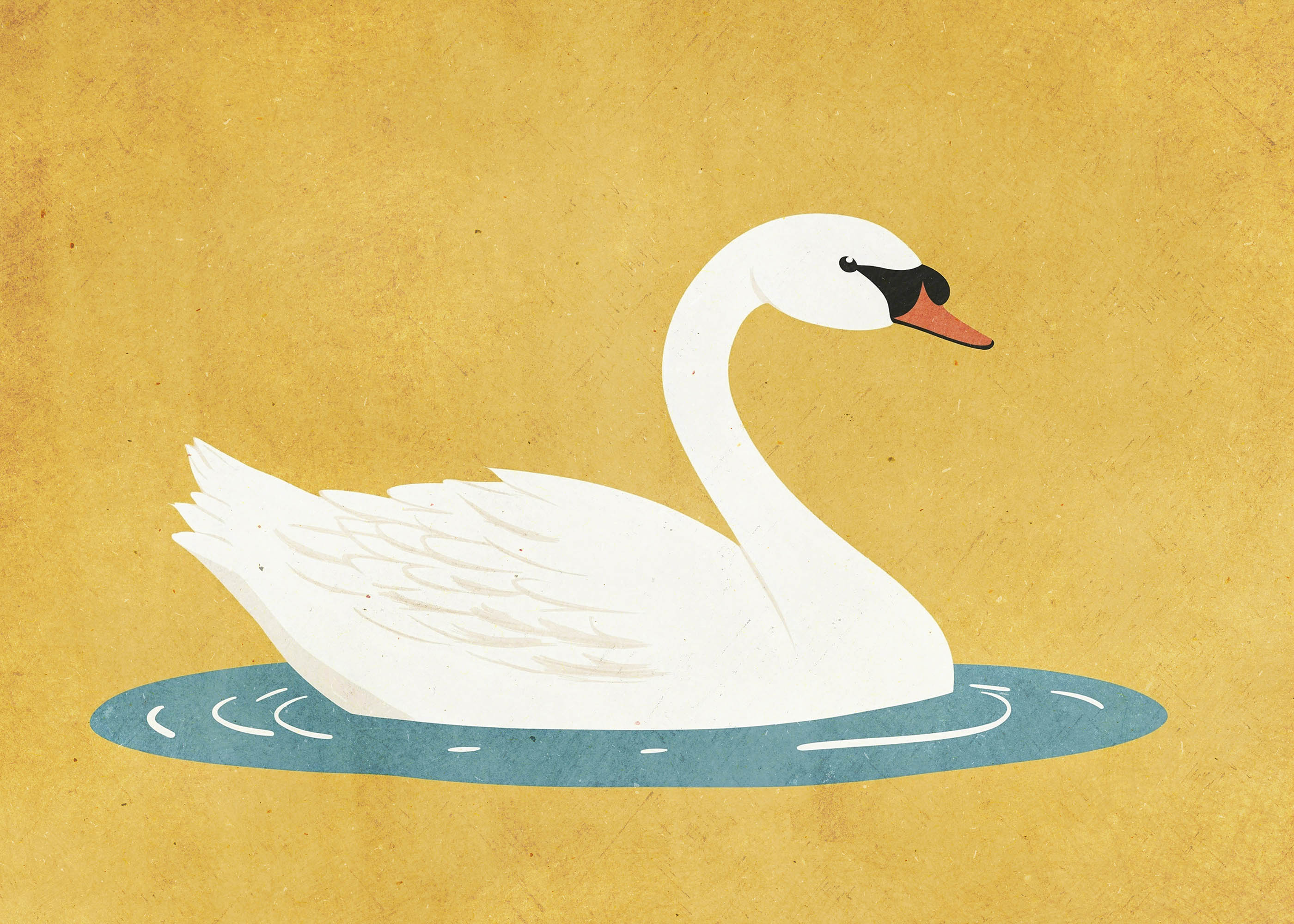 Plakat łabędź na wodzie vintage ilustracja dla dzieci