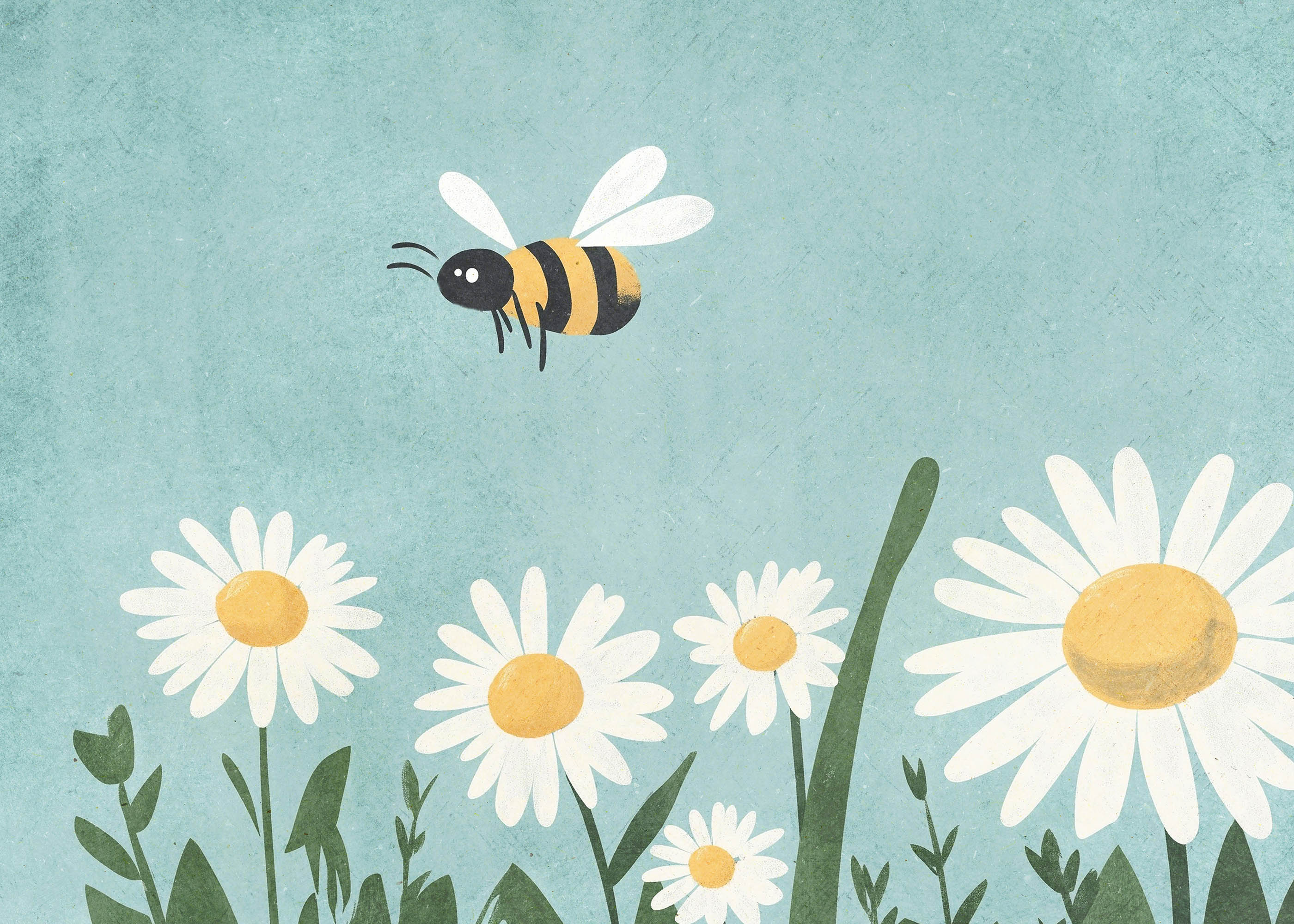 Plakat pszczółka i stokrotki na łące dla dzieci