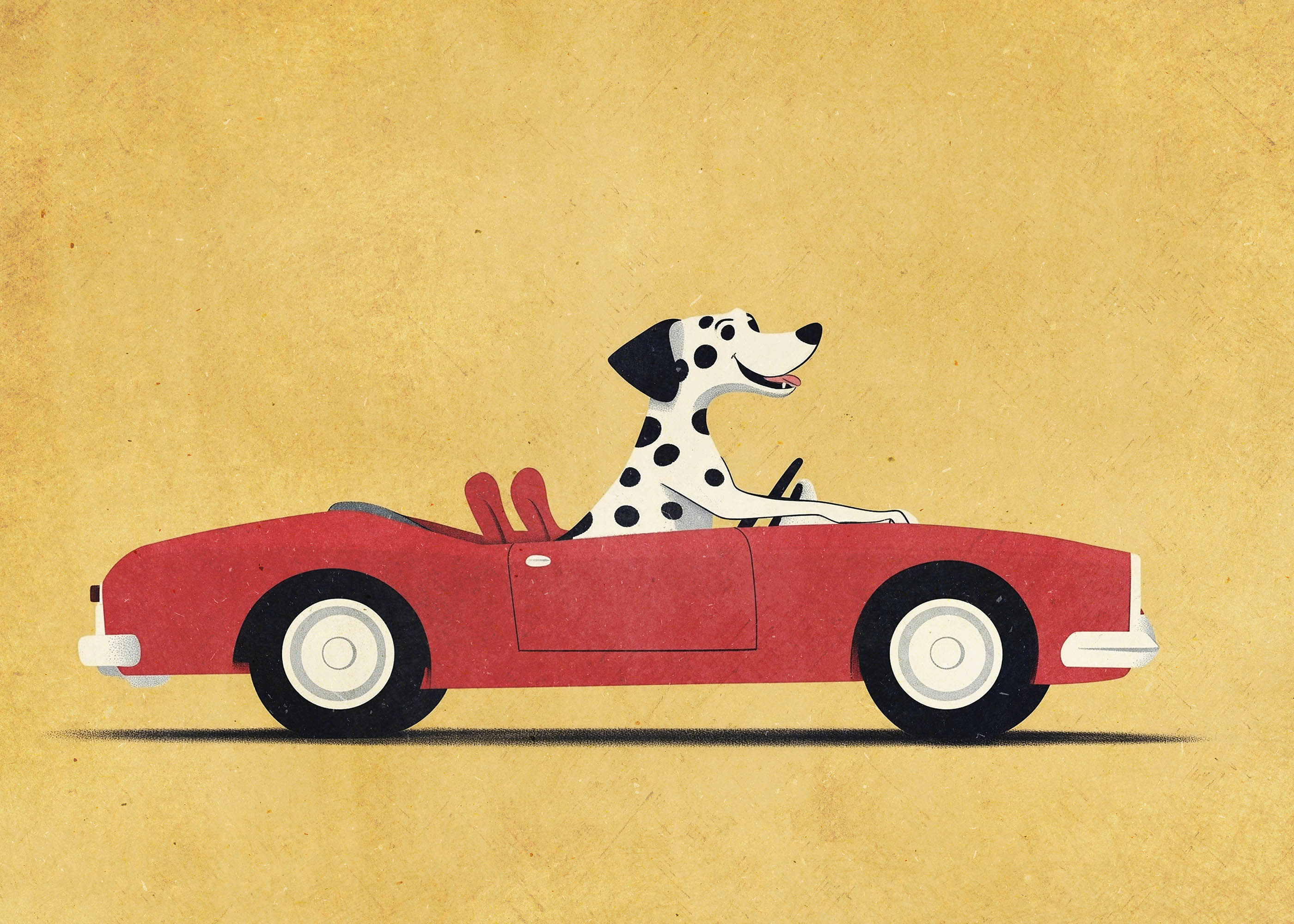 Plakat dalmatyńczyk w czerwonym kabriolecie retro