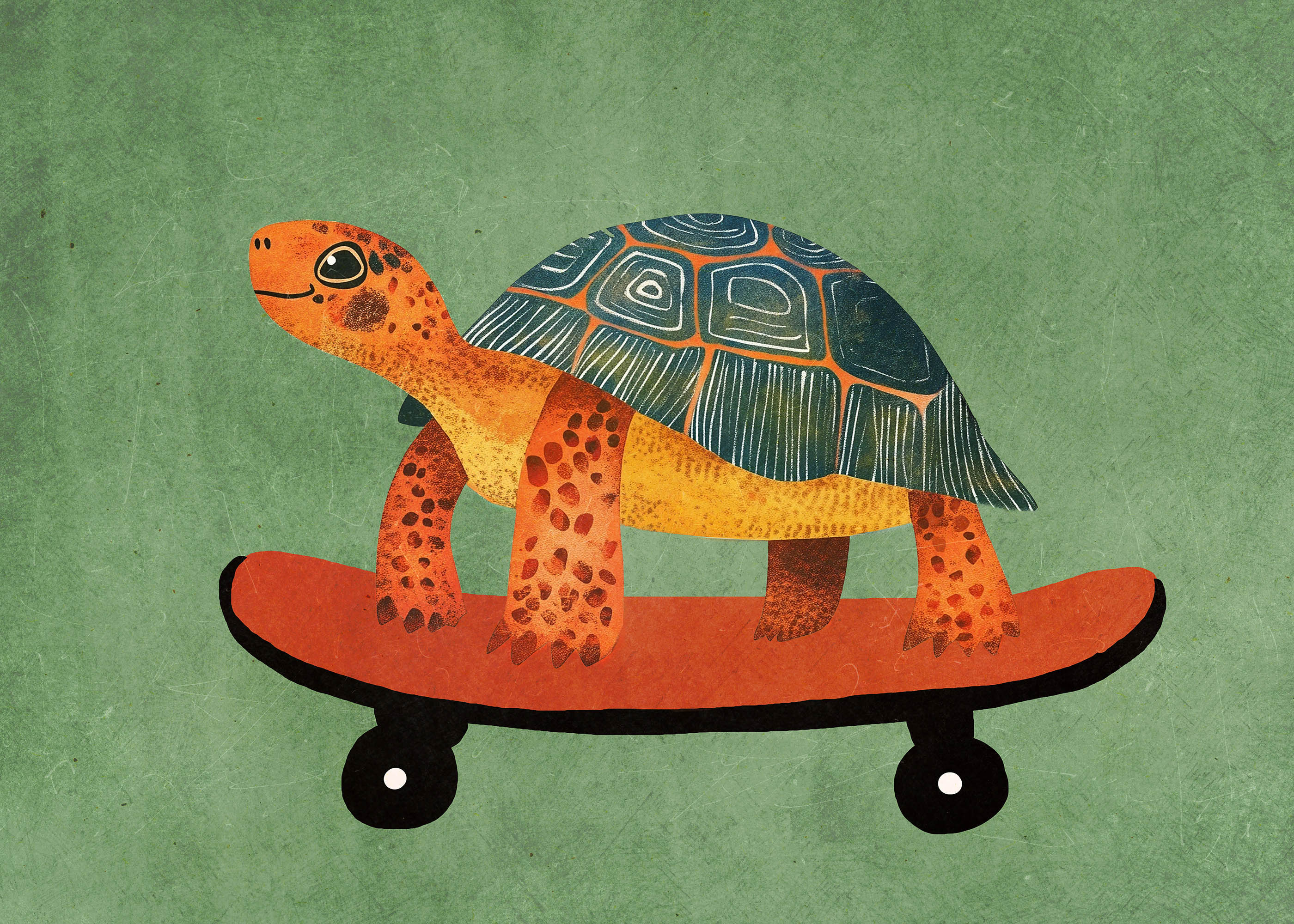 Plakat żółw na deskorolce dla dzieci pokój dziecięcy