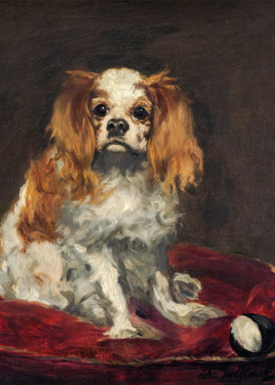 Plakat pies spaniel Cavalier King Charles Édouard Manet