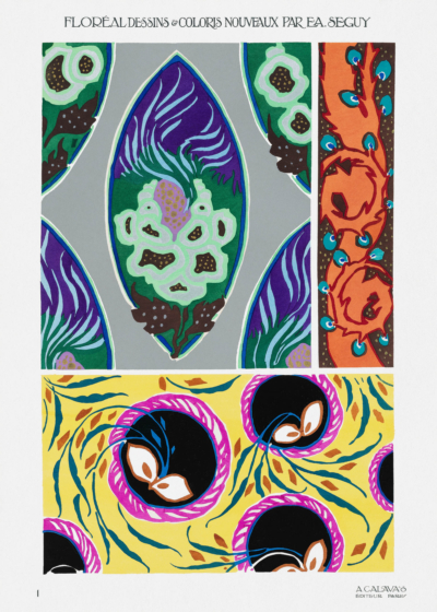 Plakat Eugène Séguy wzór roślinny Art Nouveau vintage