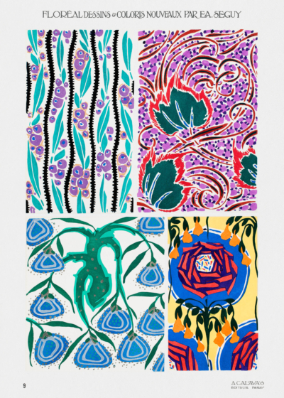 Plakat E.A. Séguy wzory florystyczne Art Nouveau vintage