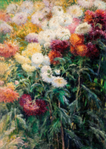 Plakat chryzantemy Gustave Caillebotte jesienne kwiaty