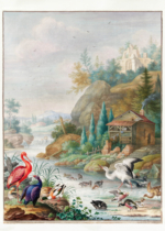 Plakat Herman Henstenburg ptaki flaming paw barokowy XVIII w