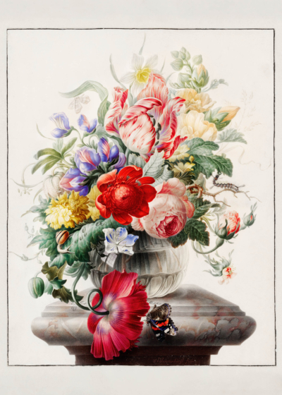 Plakat kwiatowy barokowy Herman Henstenburgh XVIII wiek