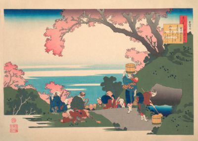 Plakat Katsushika Hokusai kwitnąca wiśnia ukiyo-e sakura