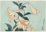 Plakat Lilie Katsushika Hokusai japoński ukiyo-e botaniczny