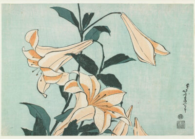 Plakat Lilie Katsushika Hokusai japoński ukiyo-e botaniczny