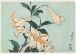 Plakat Lilie Katsushika Hokusai japoński ukiyo-e botaniczny