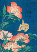 Plakat Piwonie i kanarek Katsushika Hokusai ukiyo-e