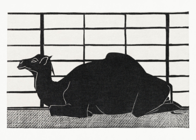 Plakat wielbłąd Samuel Mesquita drzeworyt czarno-biały