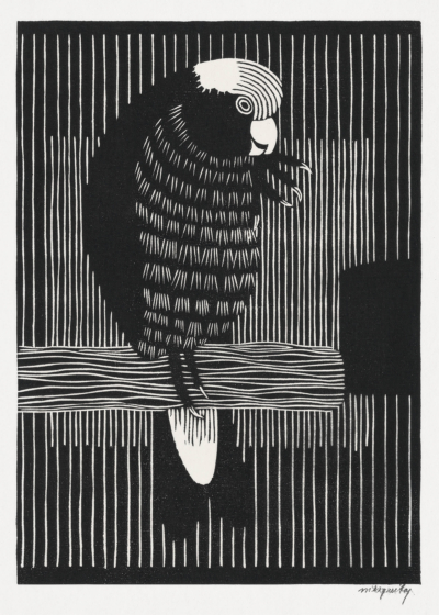 Plakat papuga drzeworyt Samuel de Mesquita czarno-biały