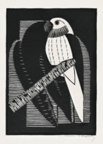 Plakat papuga drzeworyt Samuel Jessurun de Mesquita