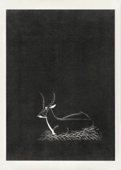 Plakat antylopa drzeworyt de Mesquita czarno-biały vintage