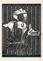 Plakat drzeworyt kalie Mesquita czarno-biały vintage