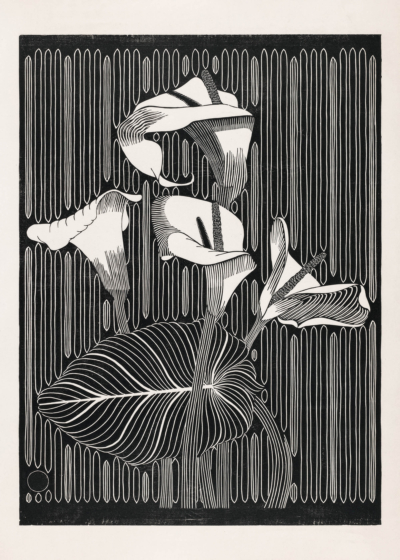 Plakat drzeworyt kalie Mesquita czarno-biały vintage