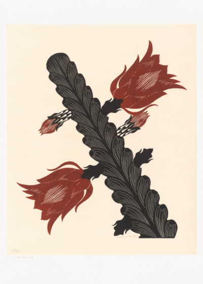 Plakat Kaktus w rozkwicie 1929 Samuel Jessurun de Mesquita