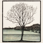 Plakat drzewo nad wodą Julie de Graag drzeworyt 1919
