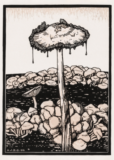 Plakat grzyby Julie de Graag 1916 drzeworyt vintage