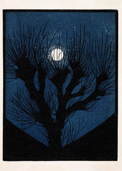 Plakat Julie de Graag księżyc drzeworyt niebieski vintage