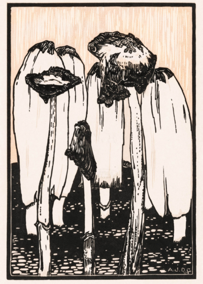 Plakat czarno-biały Grzyby 1915 Julie de Graag vintage