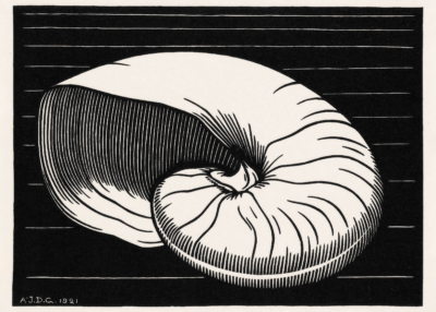 Plakat nautilus muszla Julie de Graag 1921 drzeworyt