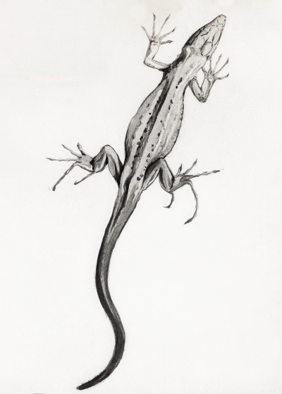 Plakat jaszczurka Julie de Graag vintage grafika sepia