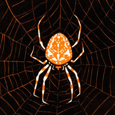 Plakat pająk drzeworyt Julie de Graag art nouveau vintage