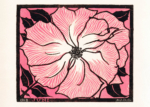 Plakat kwiat Julie de Graag 1918 różowy vintage retro