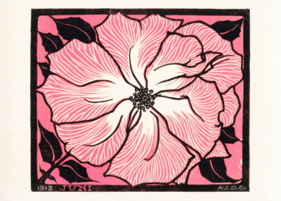 Plakat kwiat Julie de Graag 1918 różowy vintage retro