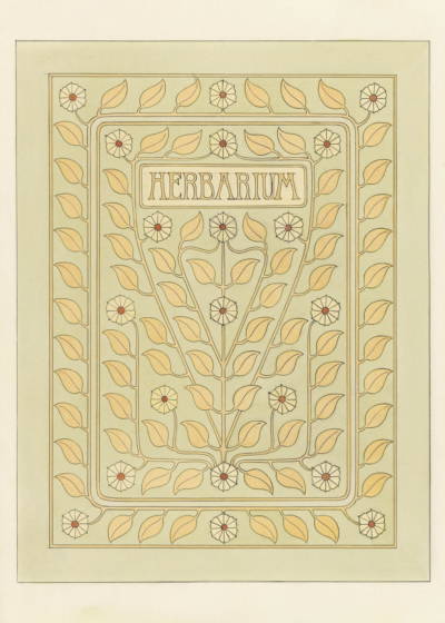 Plakat Herbarium Julie de Graag botaniczny wzór vintage
