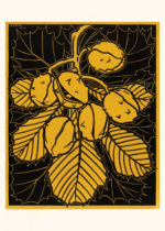 Plakat gałąź orzecha laskowego Julie de Graag 1910 Art Nouveau