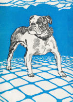 Plakat buldog angielski Moriz Jung secesja wiedeńska
