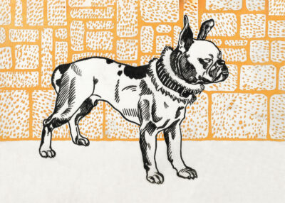 Plakat Buldożek francuski Moriz Jung secesja wiedeńska