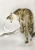 Plakat tygrys japoński drzeworyt Ohara Koson