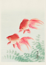 Plakat Złote rybki Ohara Koson japońska sztuka