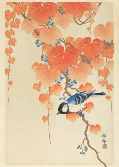 Plakat Ptak na gałęzi winorośli Ohara Koson