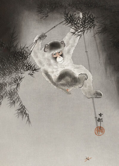 Plakat Ohara Koson małpa na bambusie japoński shin-hanga