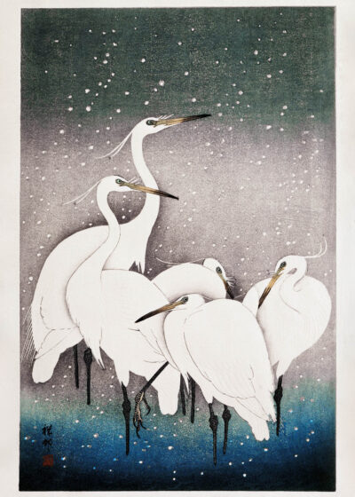 Plakat Pięć czapli w śniegu Ohara Koson japoński drzeworyt