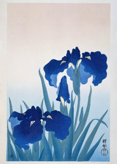 Plakat Irysy Ohara Koson japońska sztuka drzeworytnicza