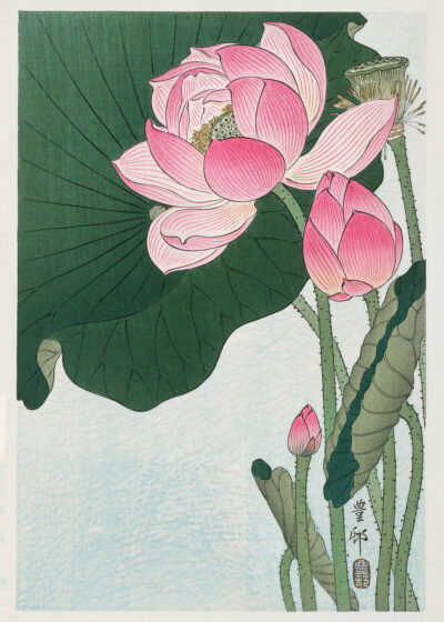 Plakat Kwitnący Lotos Ohara Koson japoński drzeworyt