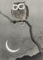 Plakat sowa przy księżycu Ohara Koson japoński drzeworyt