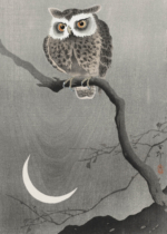 Plakat sowa przy księżycu Ohara Koson japoński drzeworyt