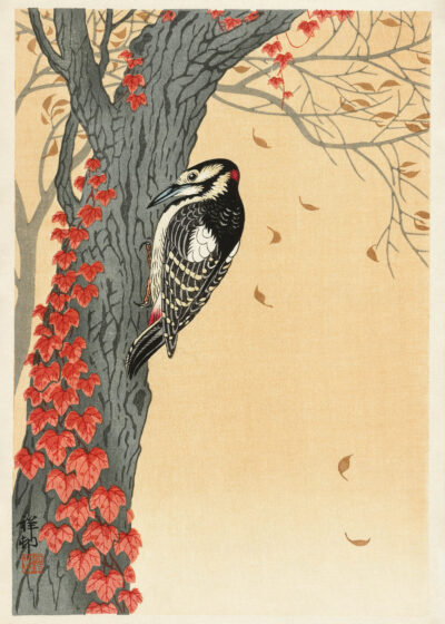 Plakat Dzięcioł na drzewie Ohara Koson japoński drzeworyt