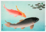 Plakat Karpie Koi Ohara Koson japoński drzeworyt vintage
