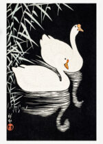 Plakat Dwa łabędzie Ohara Koson japoński drzeworyt