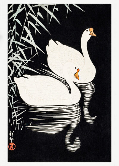 Plakat Dwa łabędzie Ohara Koson japoński drzeworyt