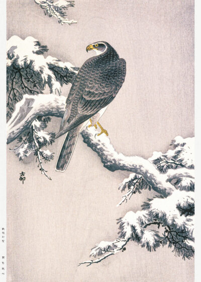 Plakat jastrząb na śniegu Ohara Koson japoński drzeworyt