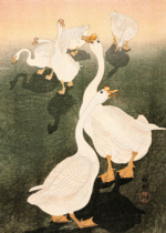 Plakat Gęsi Ohara Koson japońska sztuka drzeworytnicza